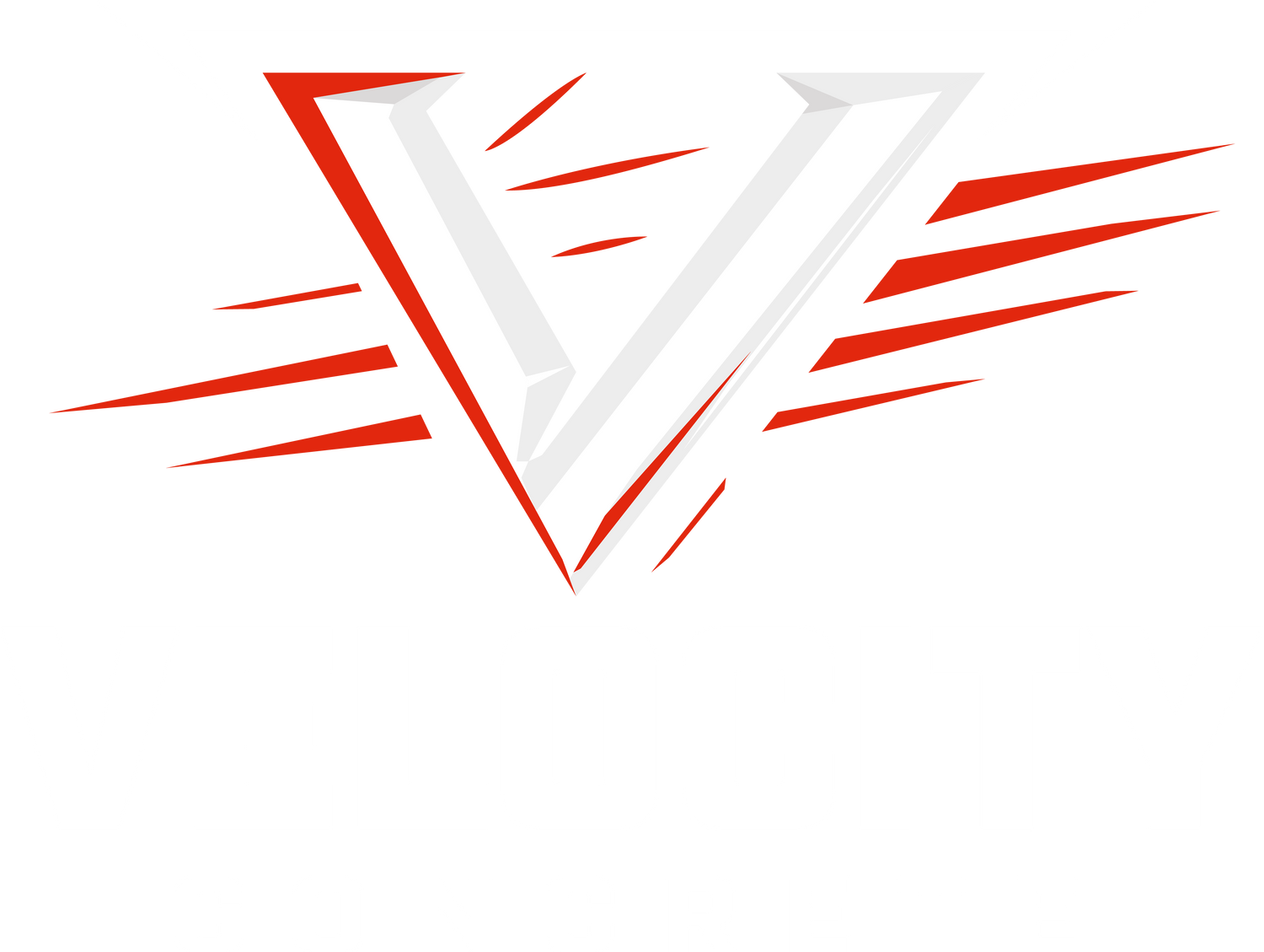 Velocity Concrete